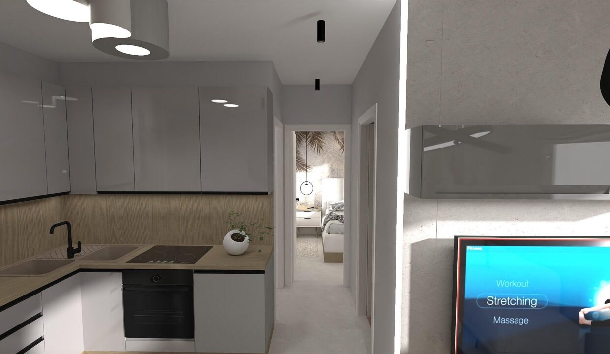 n660-type-a-kitchen-view-2